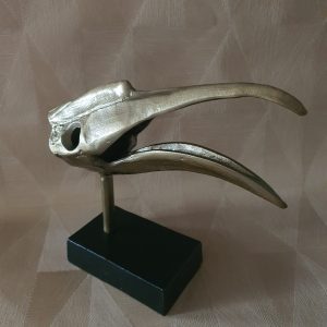 Aluminium schedel vogel